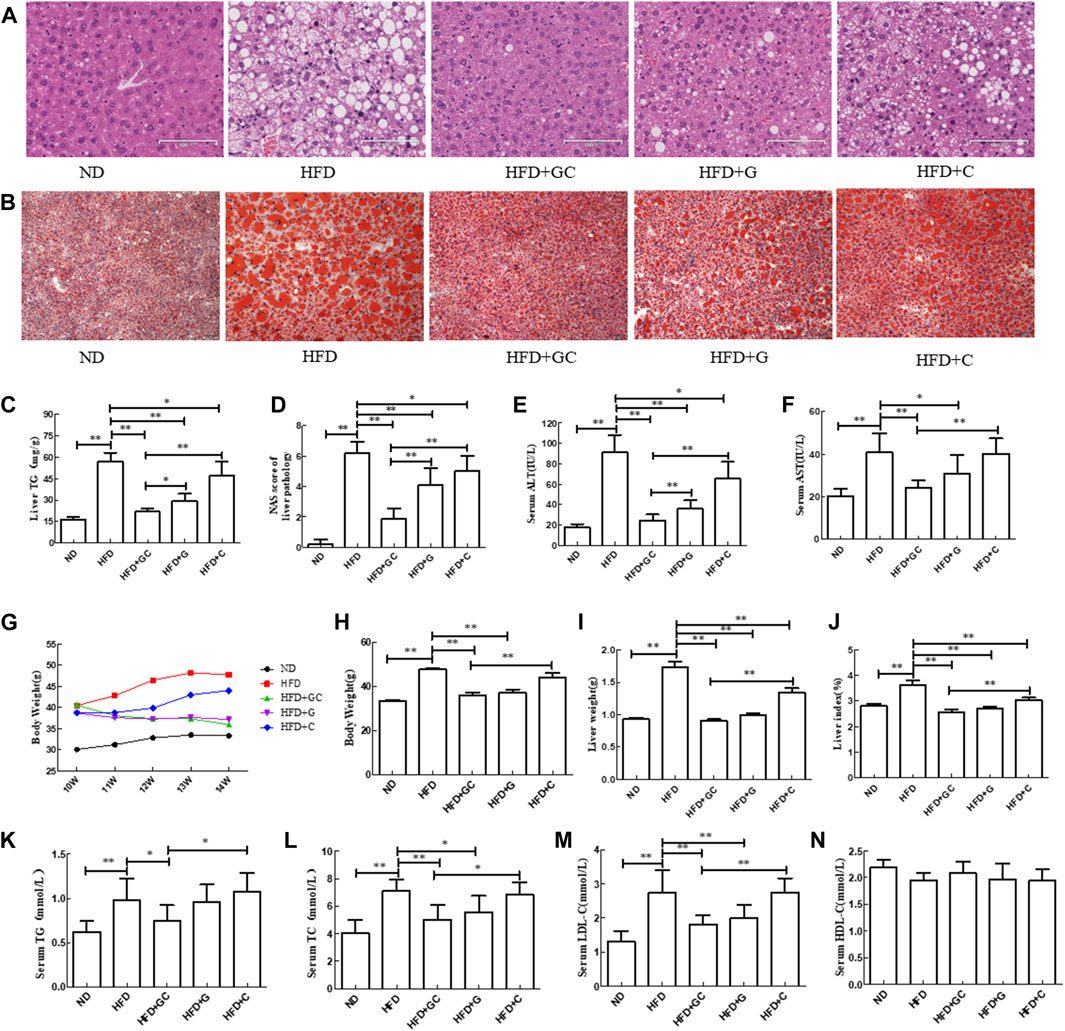 Frontiers | Geniposide plus chlorogenic acid reverses non 