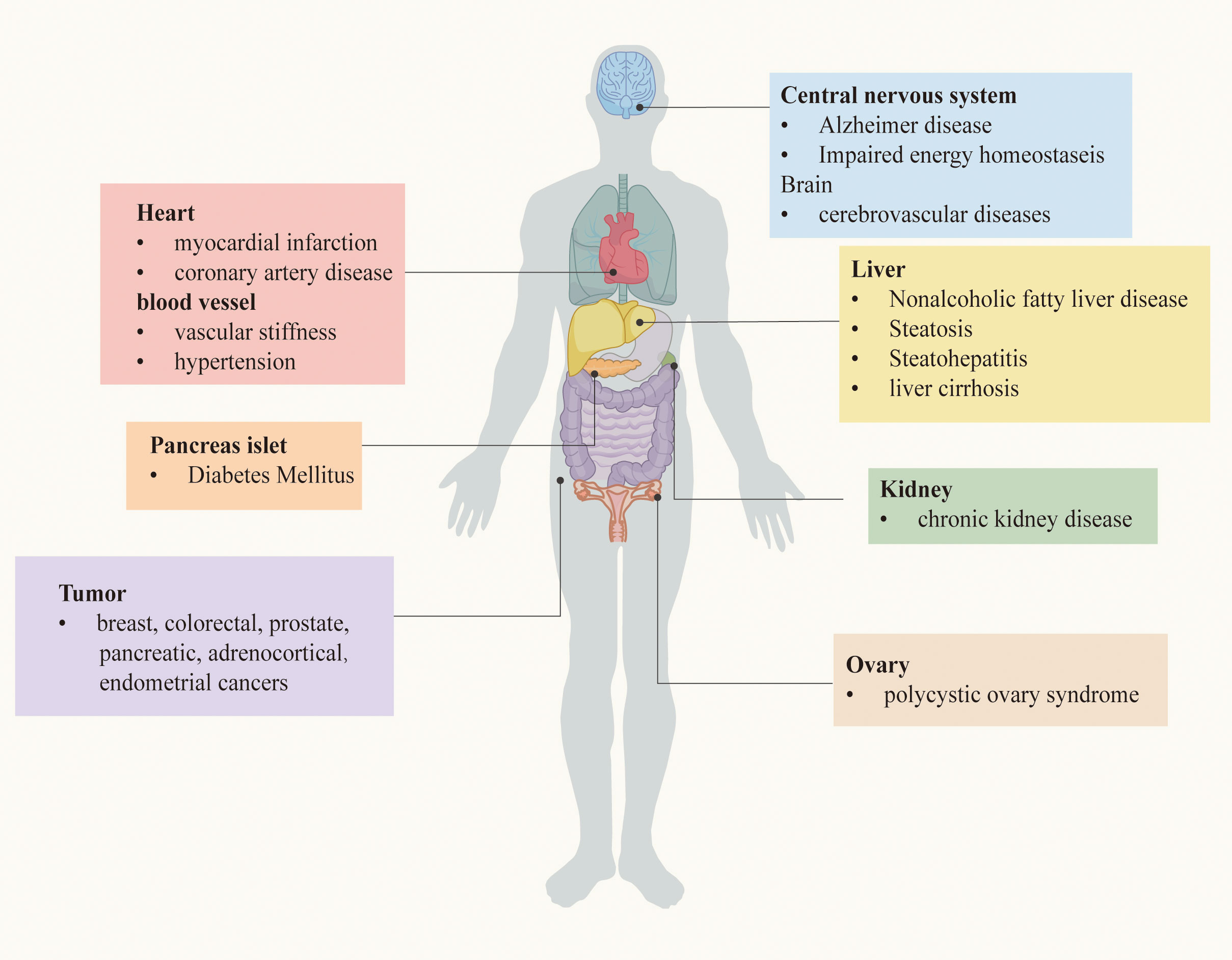 Frontiers  The crucial role and mechanism of insulin resistance in  metabolic disease