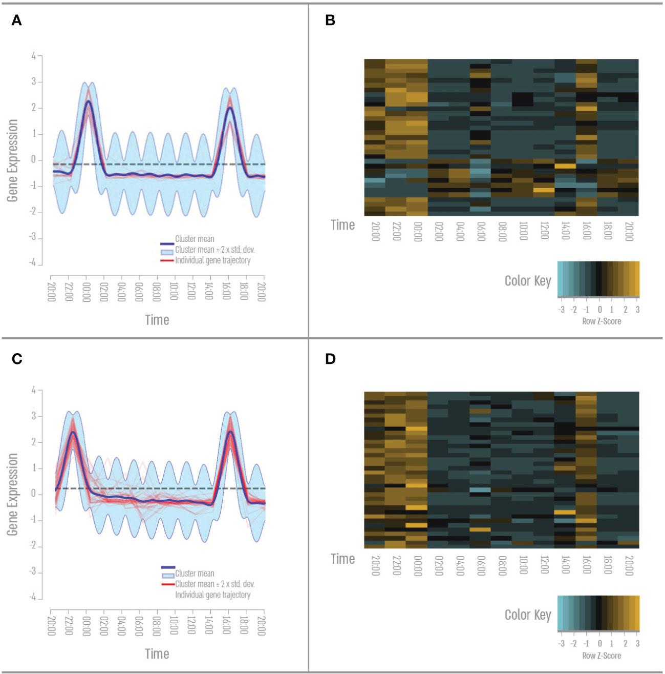 Frontiers | Daily temporal homeostasis in the coral Acropora digitifera