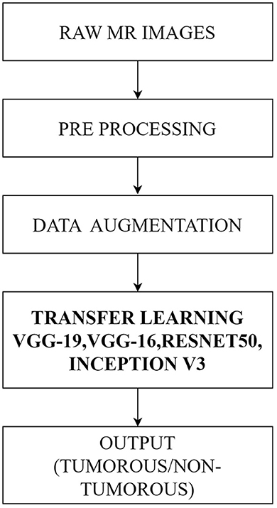 Brain tumor segmentation based on deep learning and an attention mechanism  using MRI multi-modalities brain images