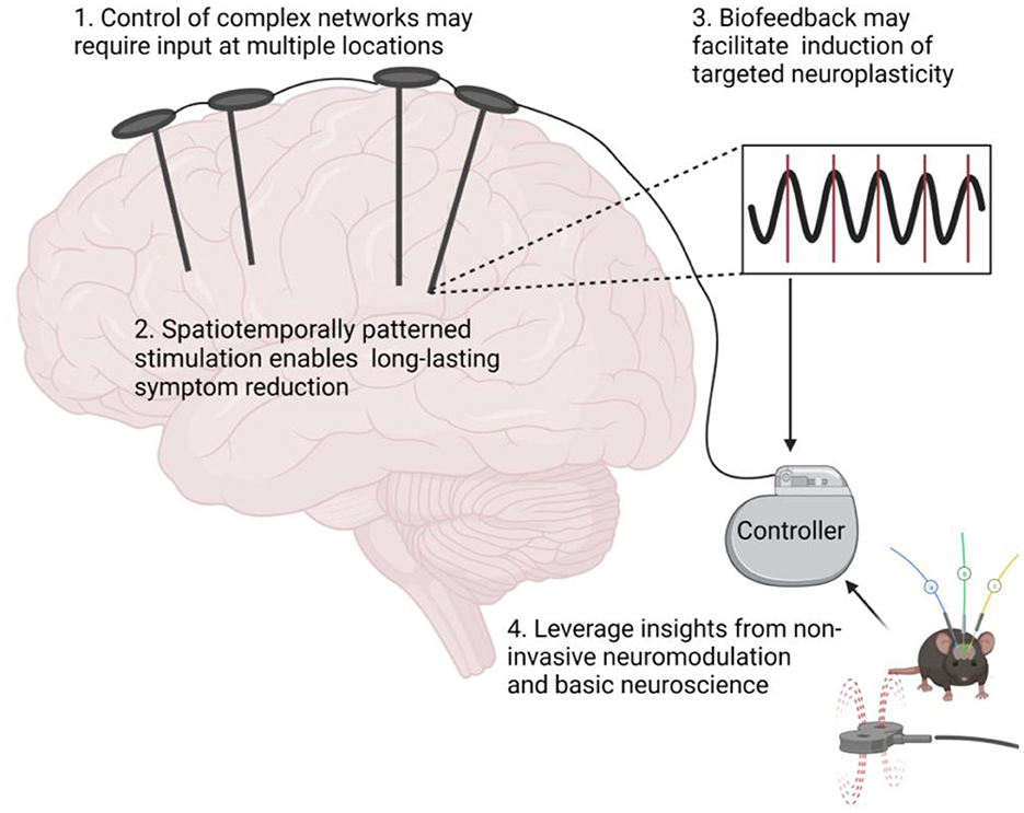 Frontiers Targeted Neuroplasticity In Spatiotemporally Patterned