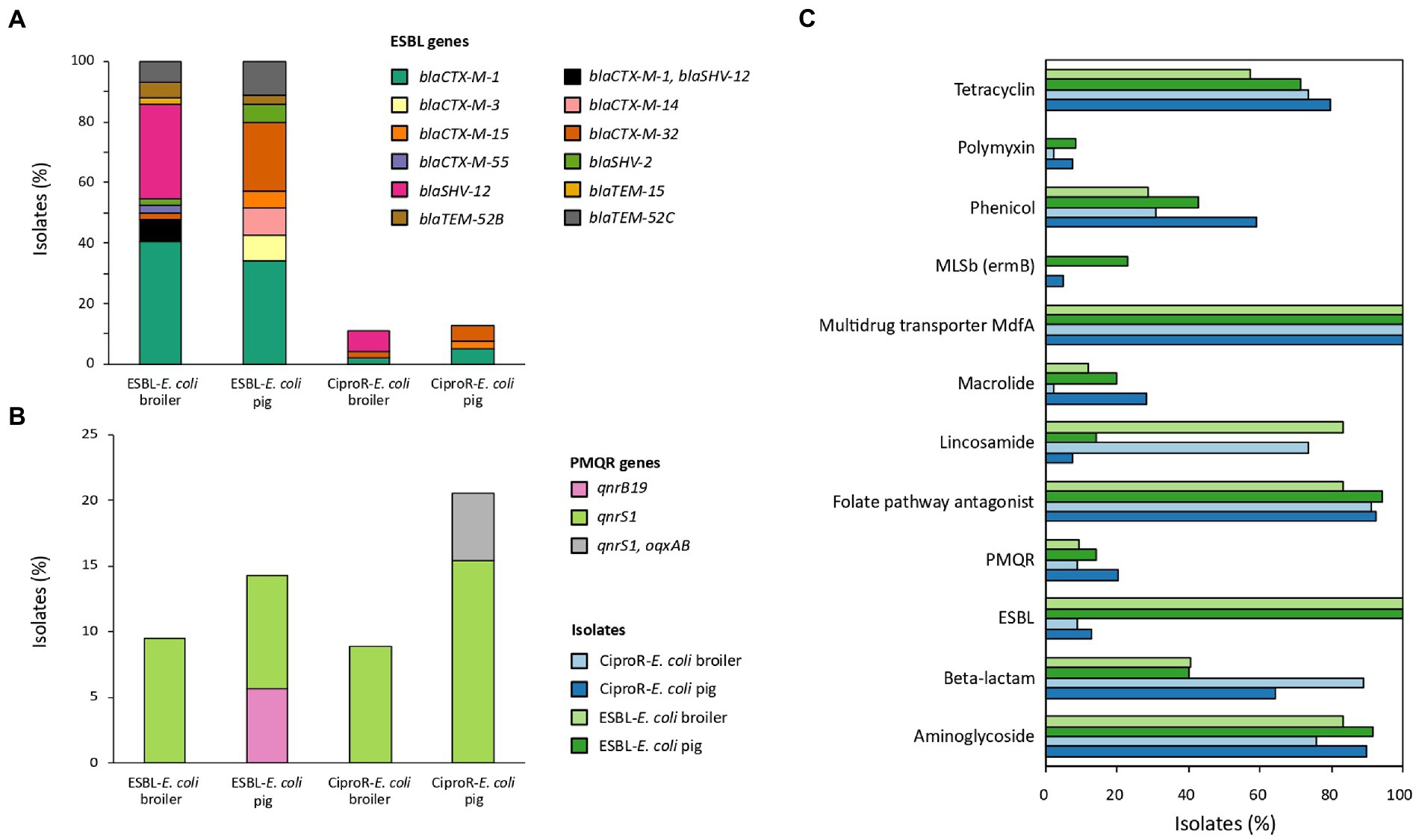 Ren Vi ses i morgen betale Frontiers | Genetic characterization of ESBL-producing and  ciprofloxacin-resistant Escherichia coli from Belgian broilers and pigs