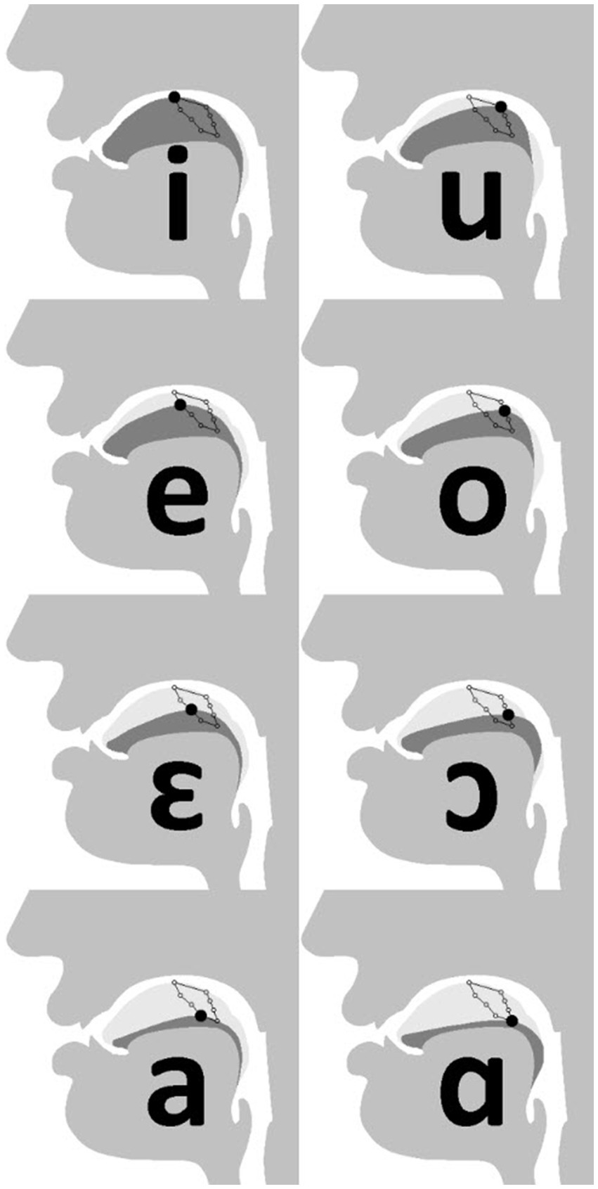 www.frontiersin.org