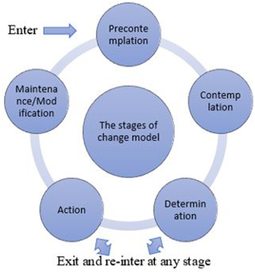 www.frontiersin.org