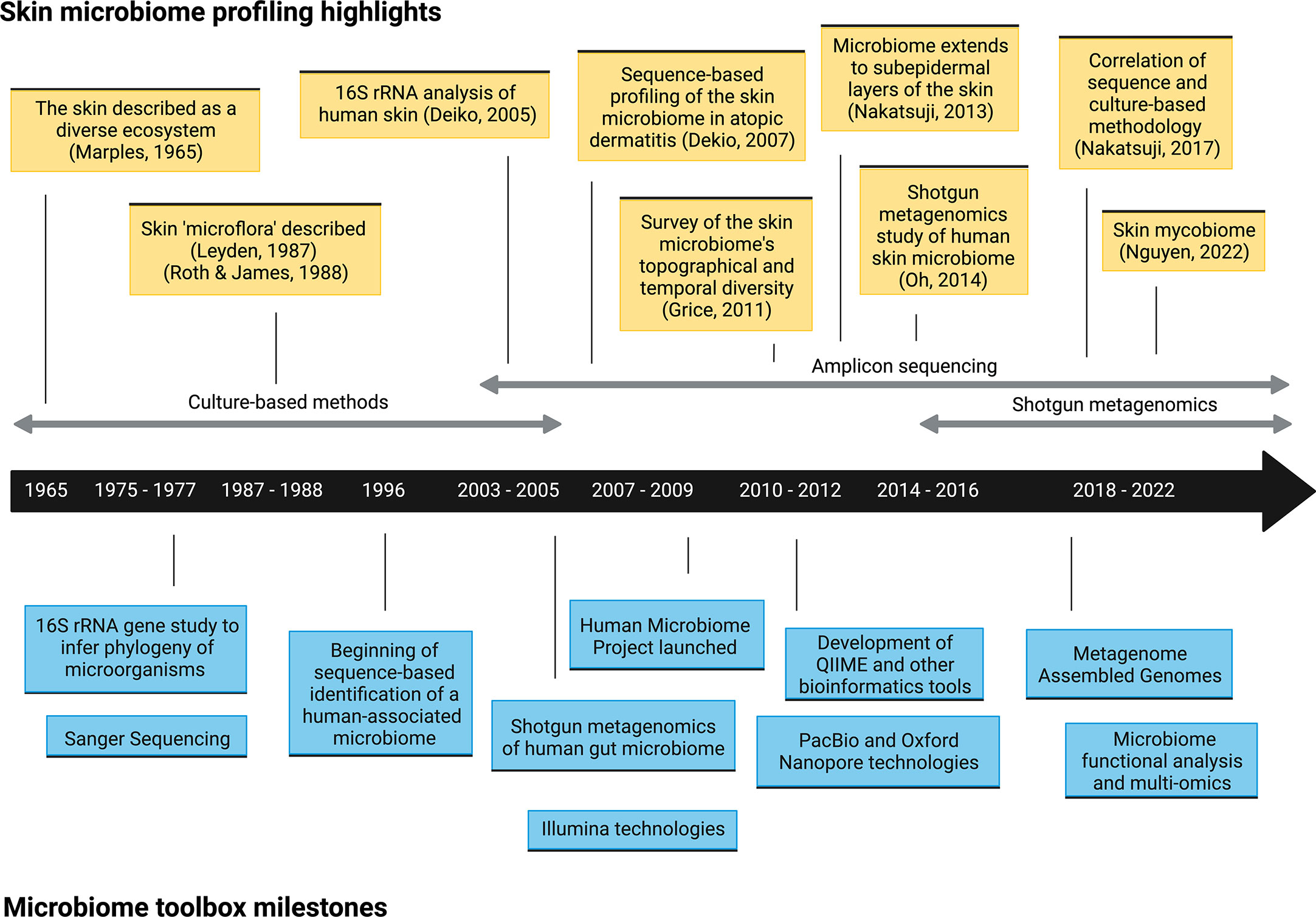 The dynamics and interactions between the skin metabolome, microbiome, and  UV exposure