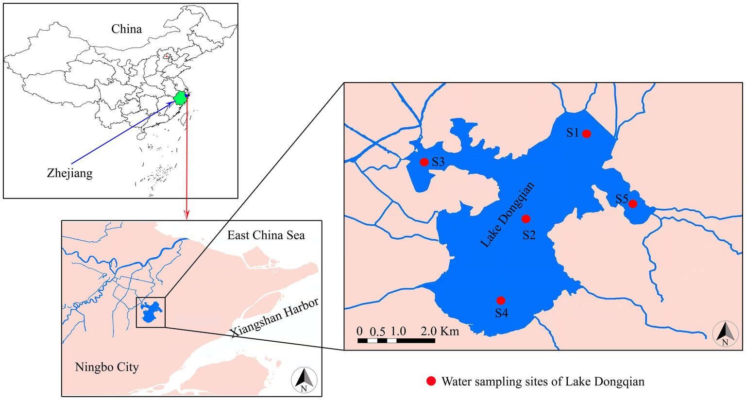 Frontiers  Pro- and eukaryotic keystone taxa as potential bio-indicators  for the water quality of subtropical Lake Dongqian