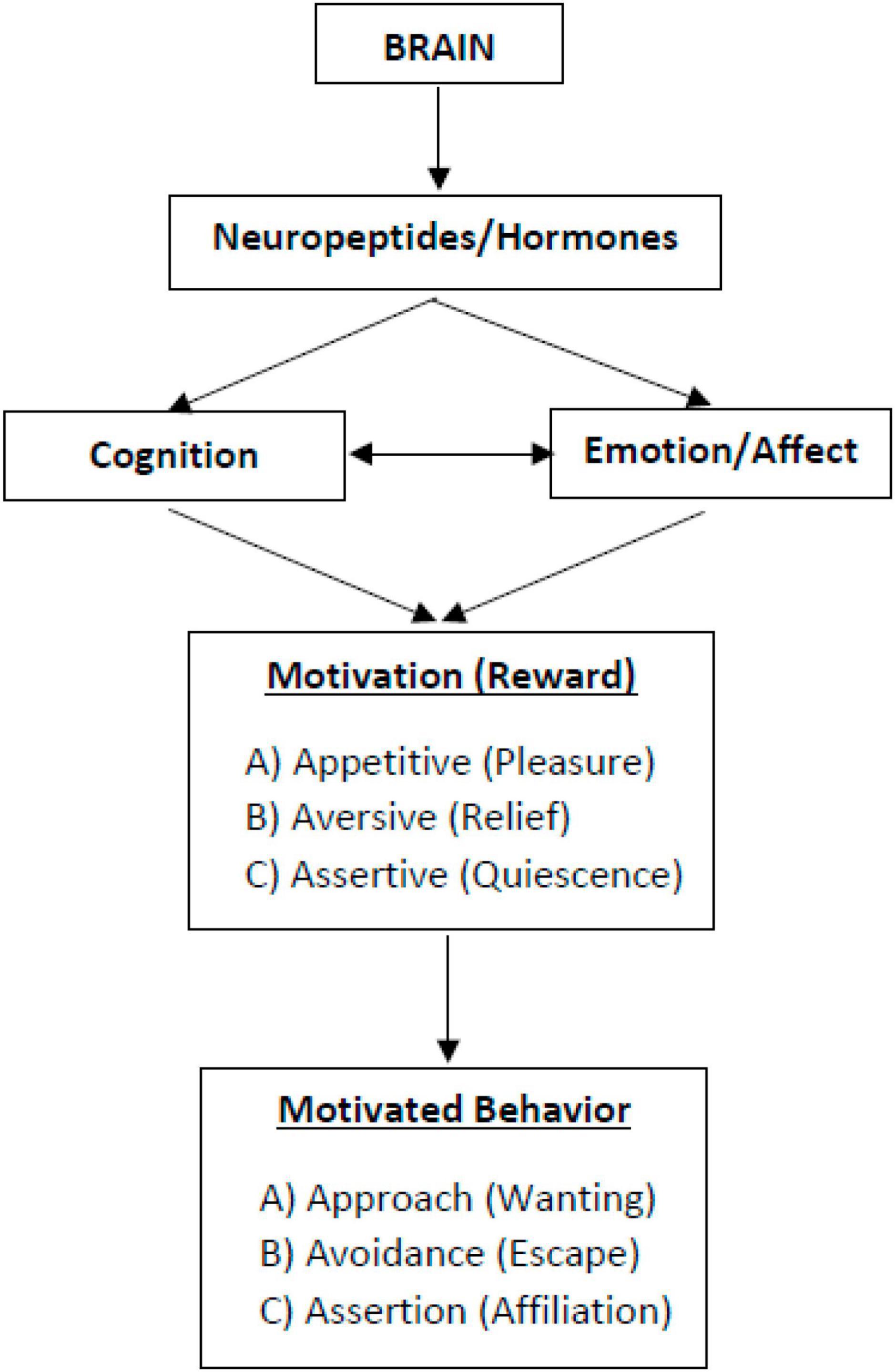 PDF] UNDERSTANDING PURPOSE AND CIRCUMSTANTIAL CONTEXT IN THE USE