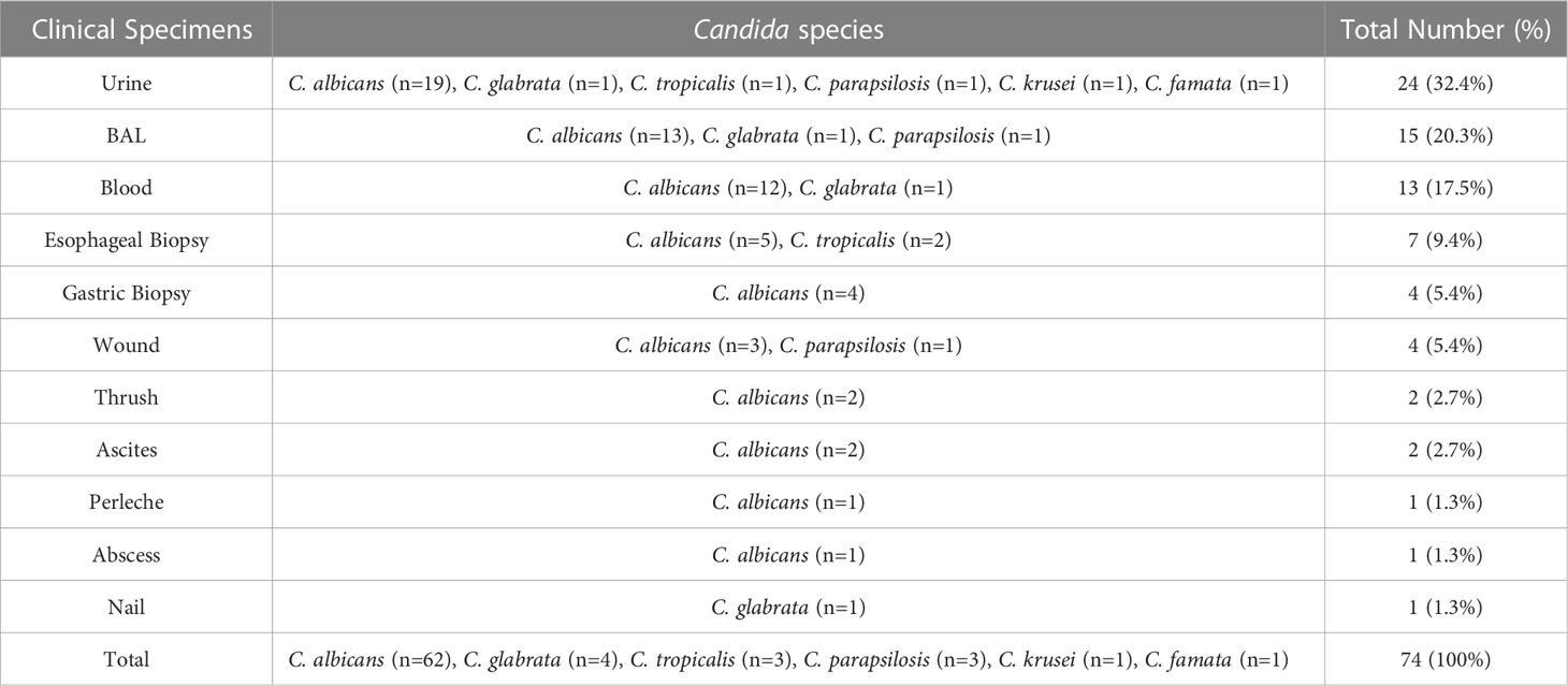 Frontiers | A 3-year study of Candida infections among patients with ...