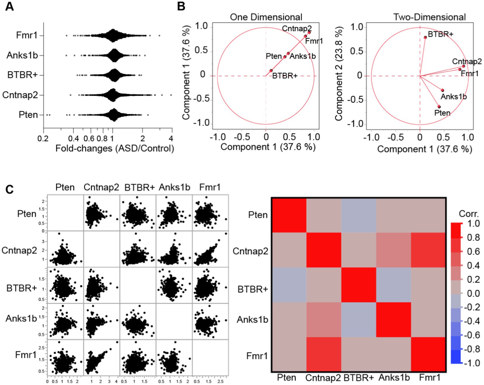 Comparison of mouse models reveals a molecular distinction between