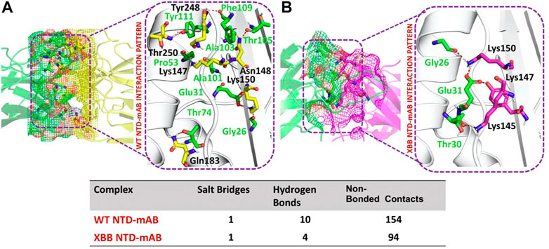 Yunlong Richard Cao on X: It's critical to test how these RBD hotspots  could combine to achieve max immune evasion without losing affinity to  ACE2. After careful consideration, besides the emerging K478R/F456L