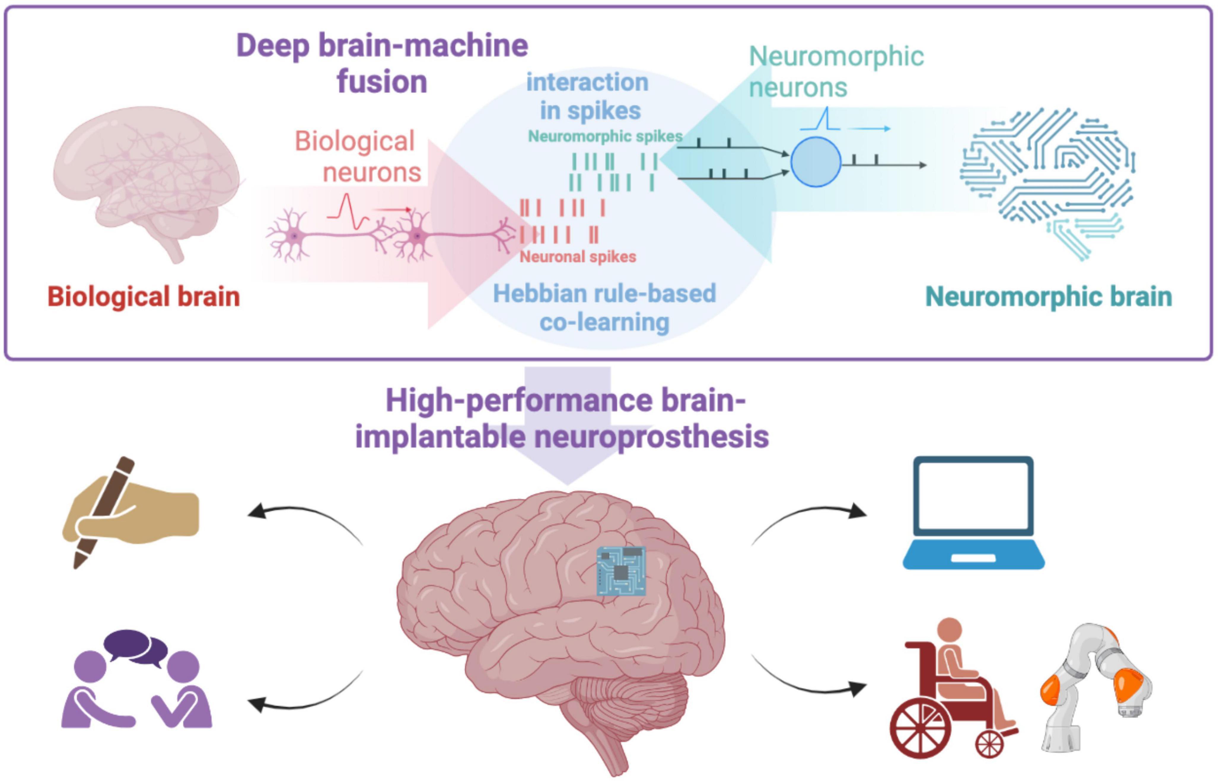 Deep brain