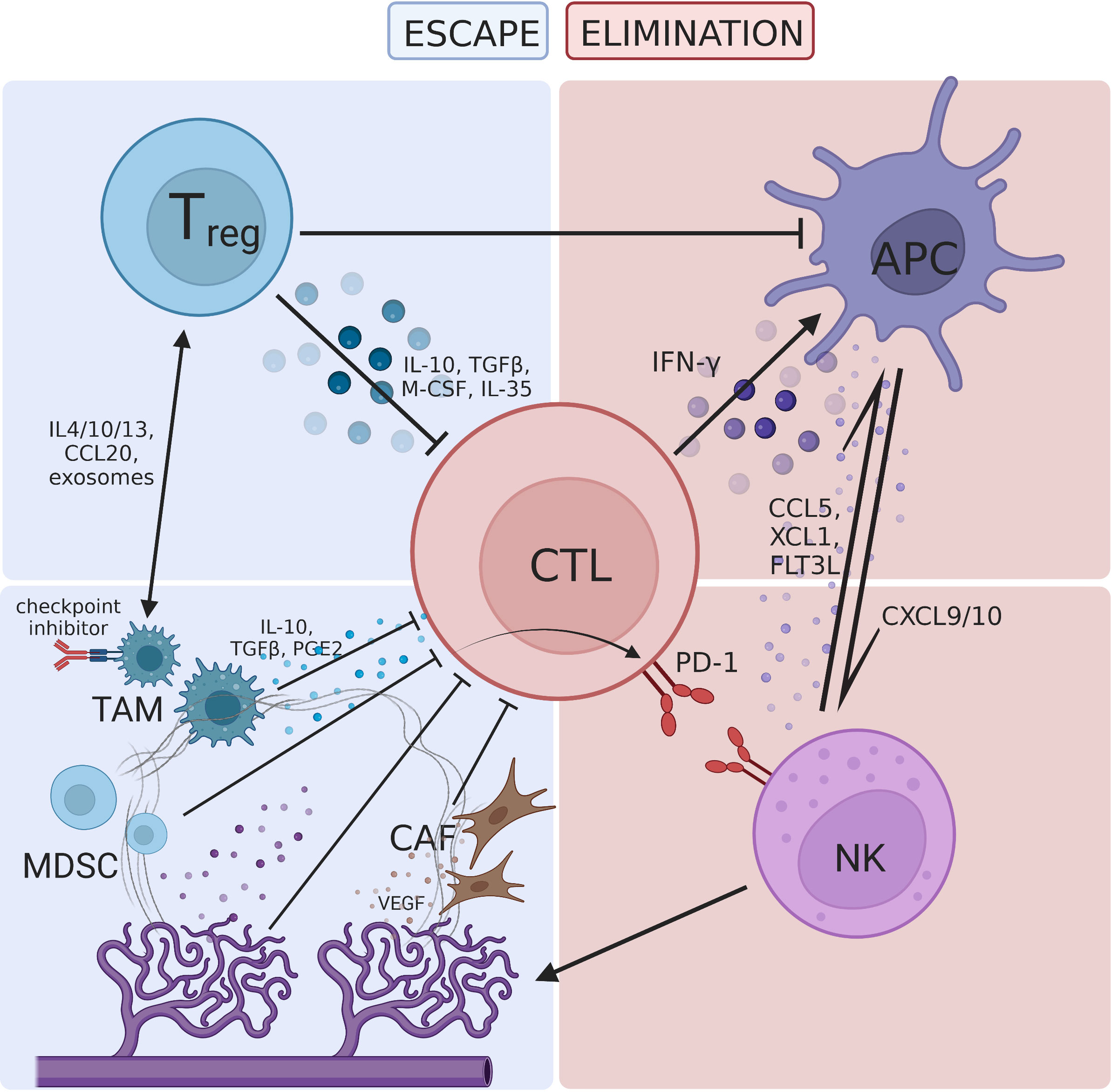 Frontiers  Molecular mechanisms of immunotherapy resistance in triple-negative  breast cancer