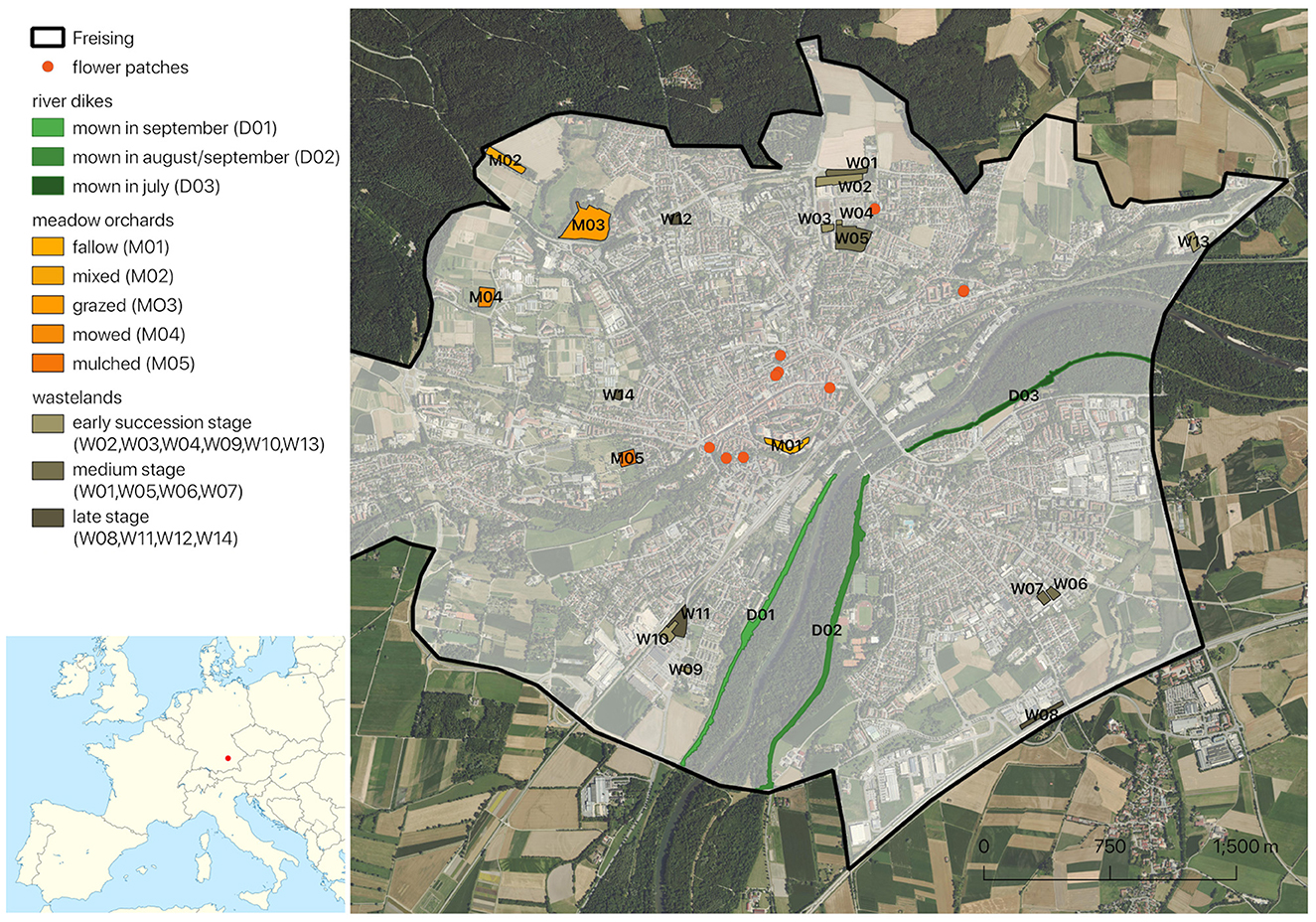 Frontiers  Holistic wild bee management in urban spaces