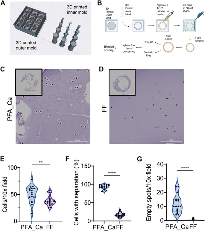 Cells at Work: Putting a New Spin on Slice of Life