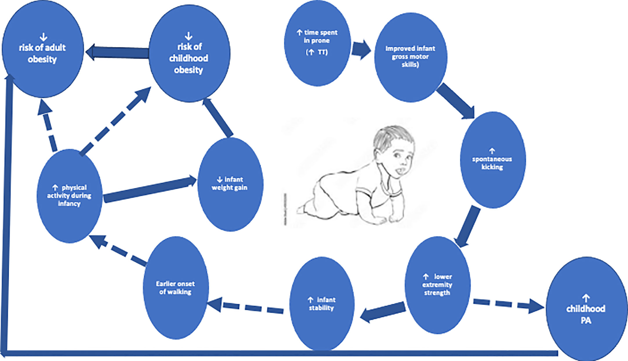 Frontiers  Physical activity in infancy and early childhood: a