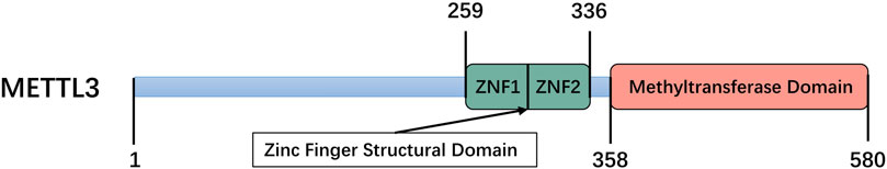 www.frontiersin.org