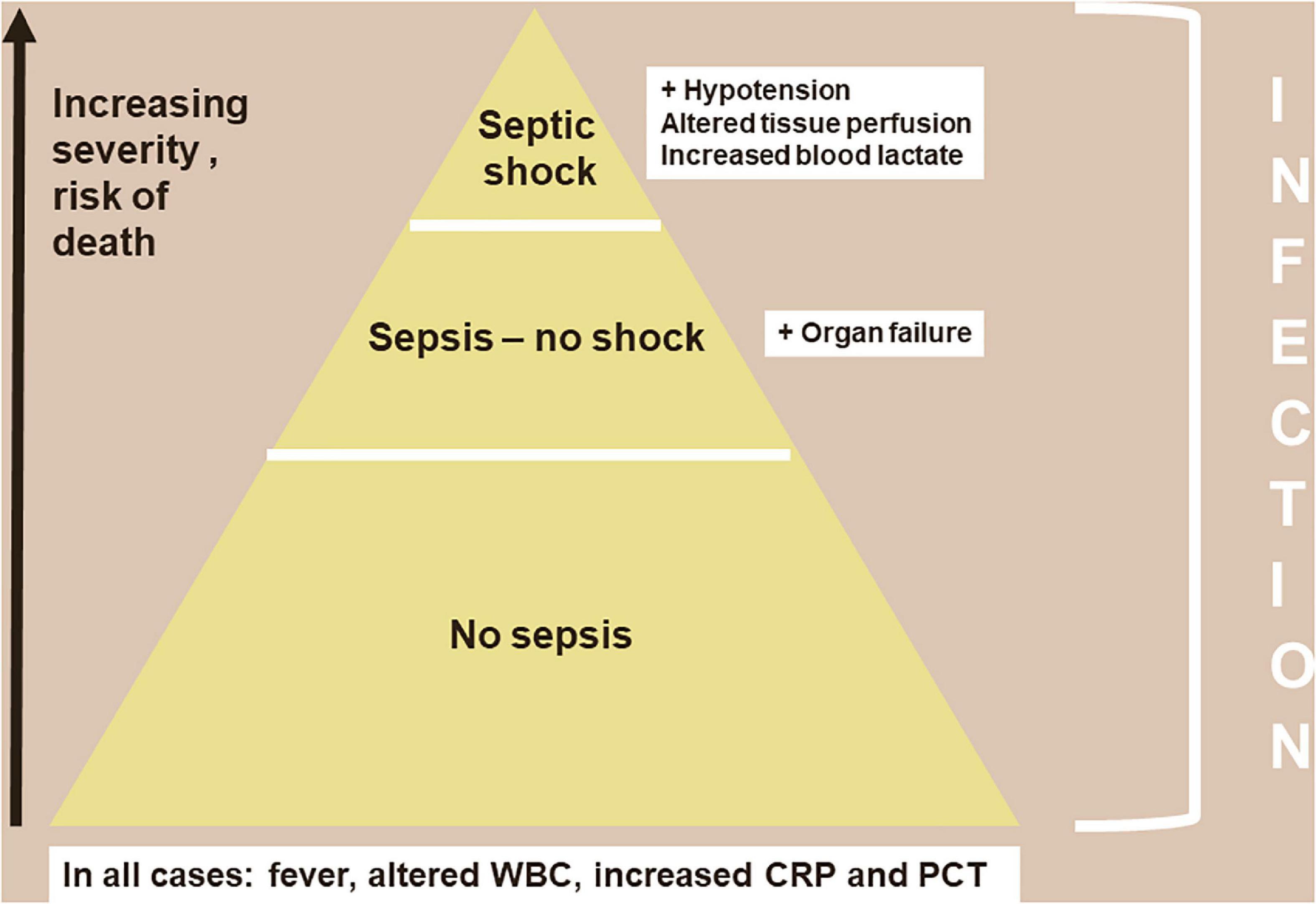 Frontiers Sepsis And Infection Two Words That Should Not Be Confused
