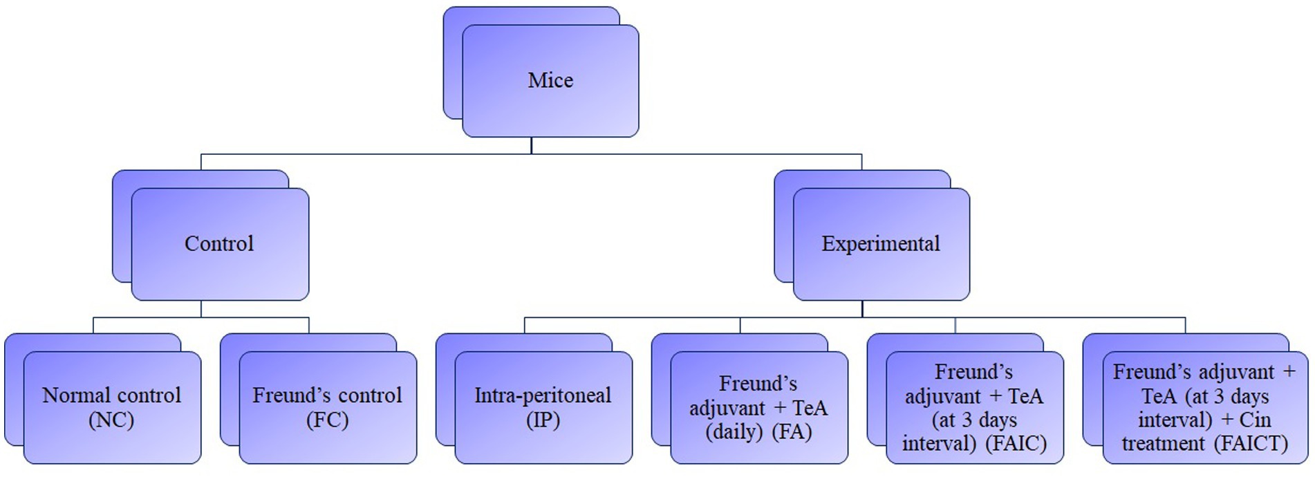 www.frontiersin.org