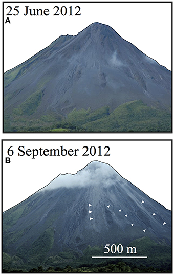 www.frontiersin.org