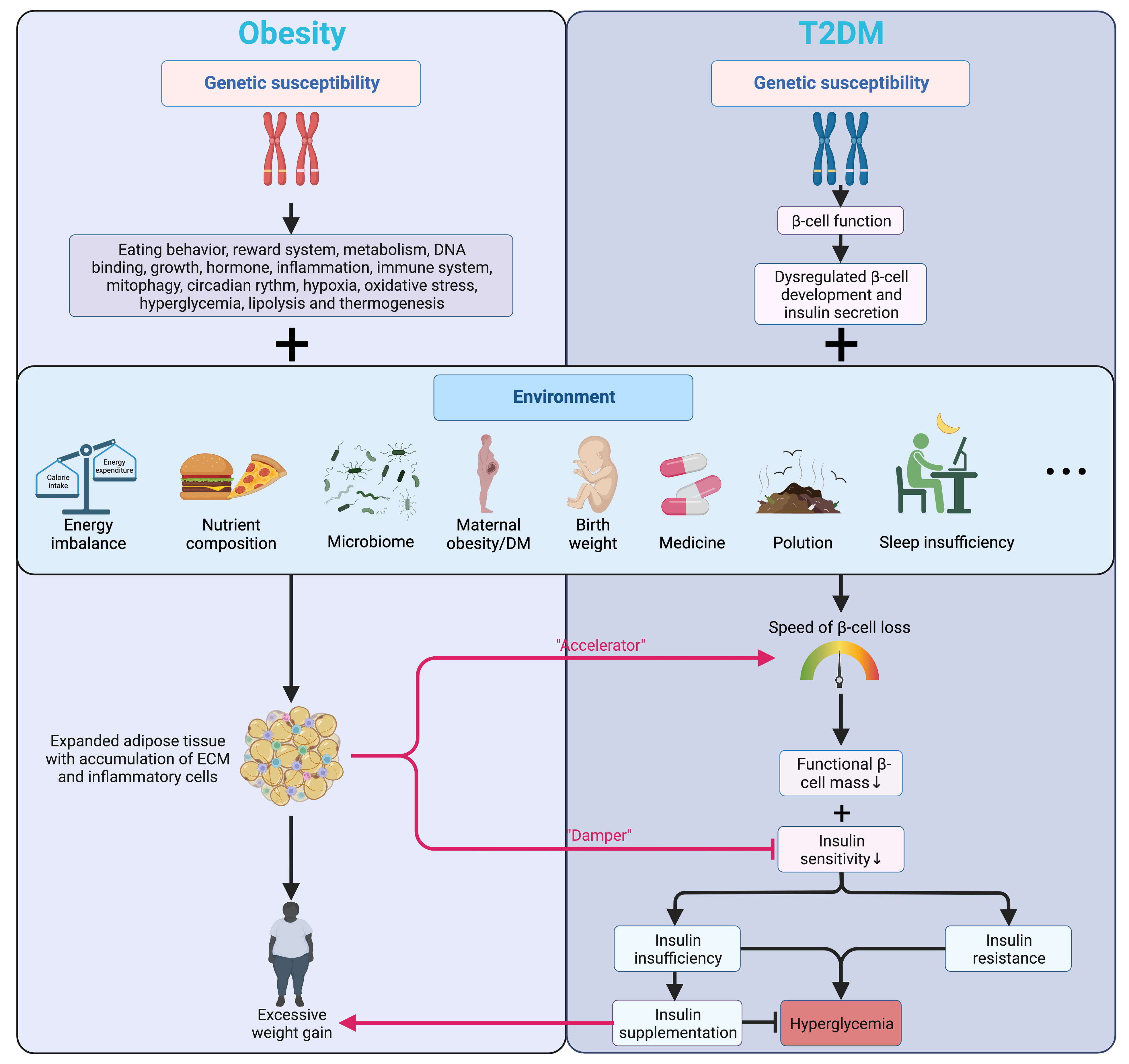 Frontiers  Obesity and type 2 diabetes mellitus: connections in  epidemiology, pathogenesis, and treatments
