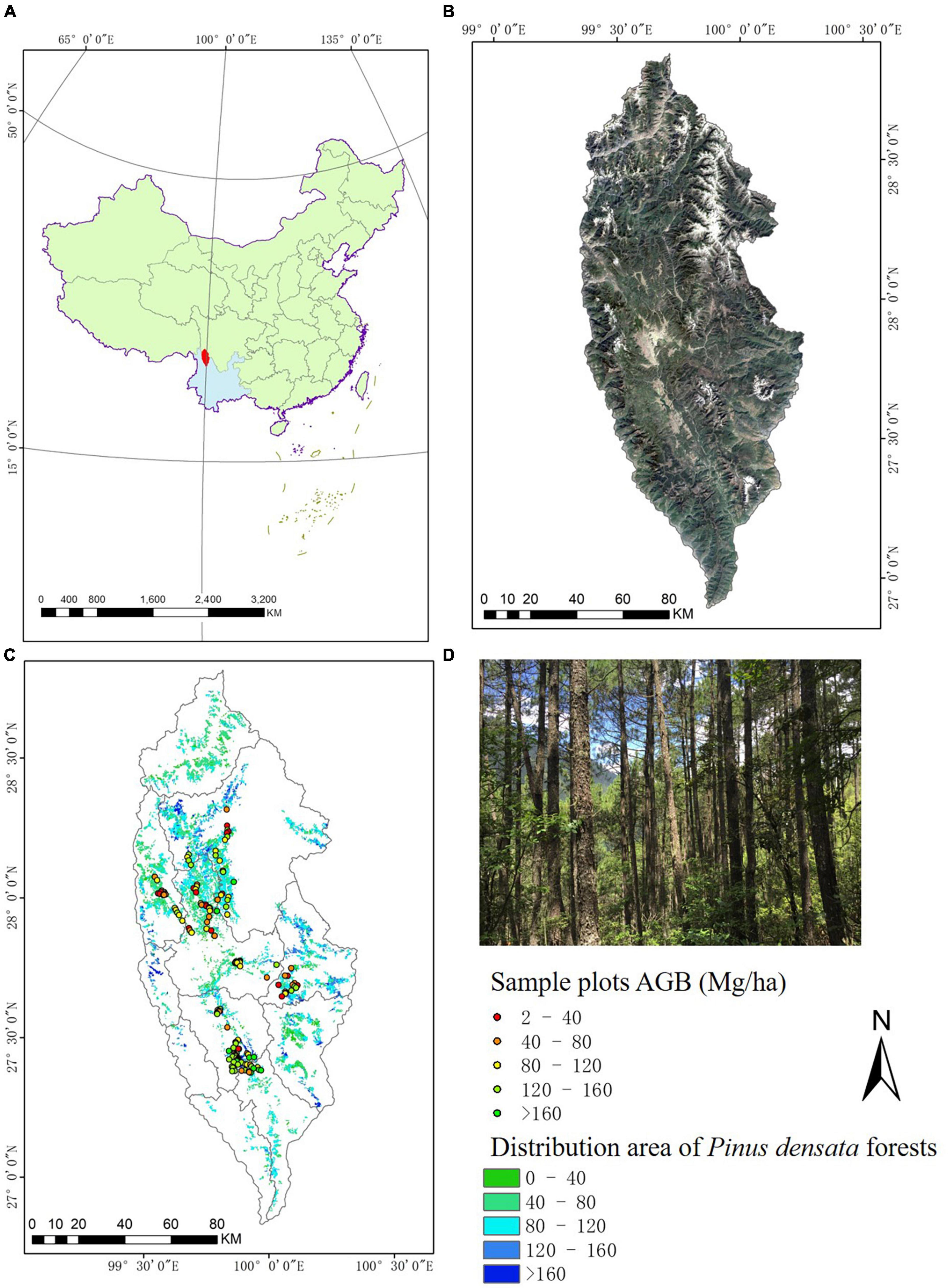 ForestRe gains competitive advantage using satellite data for