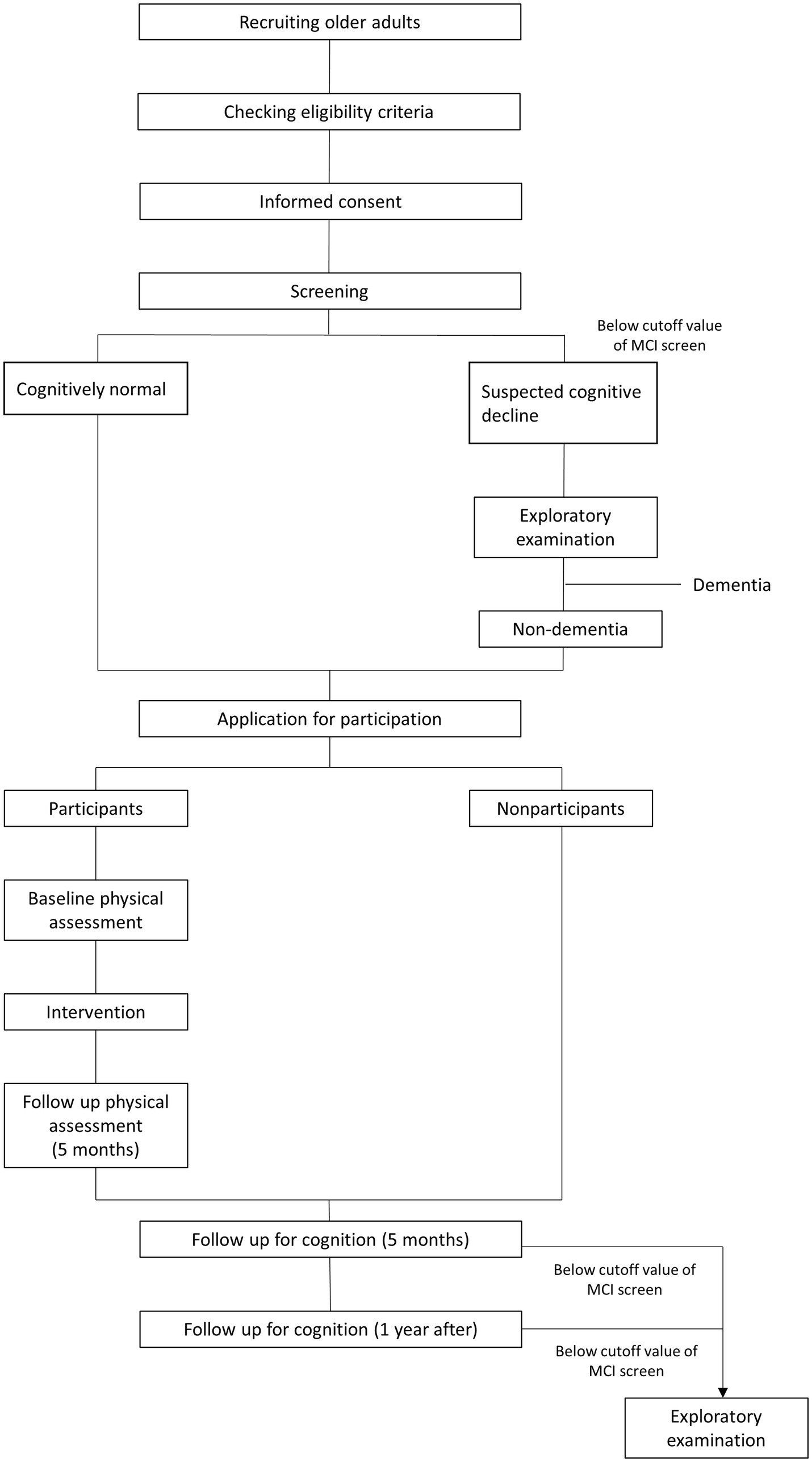 Frontiers | Exercise program to reduce the risk of cognitive decline ...