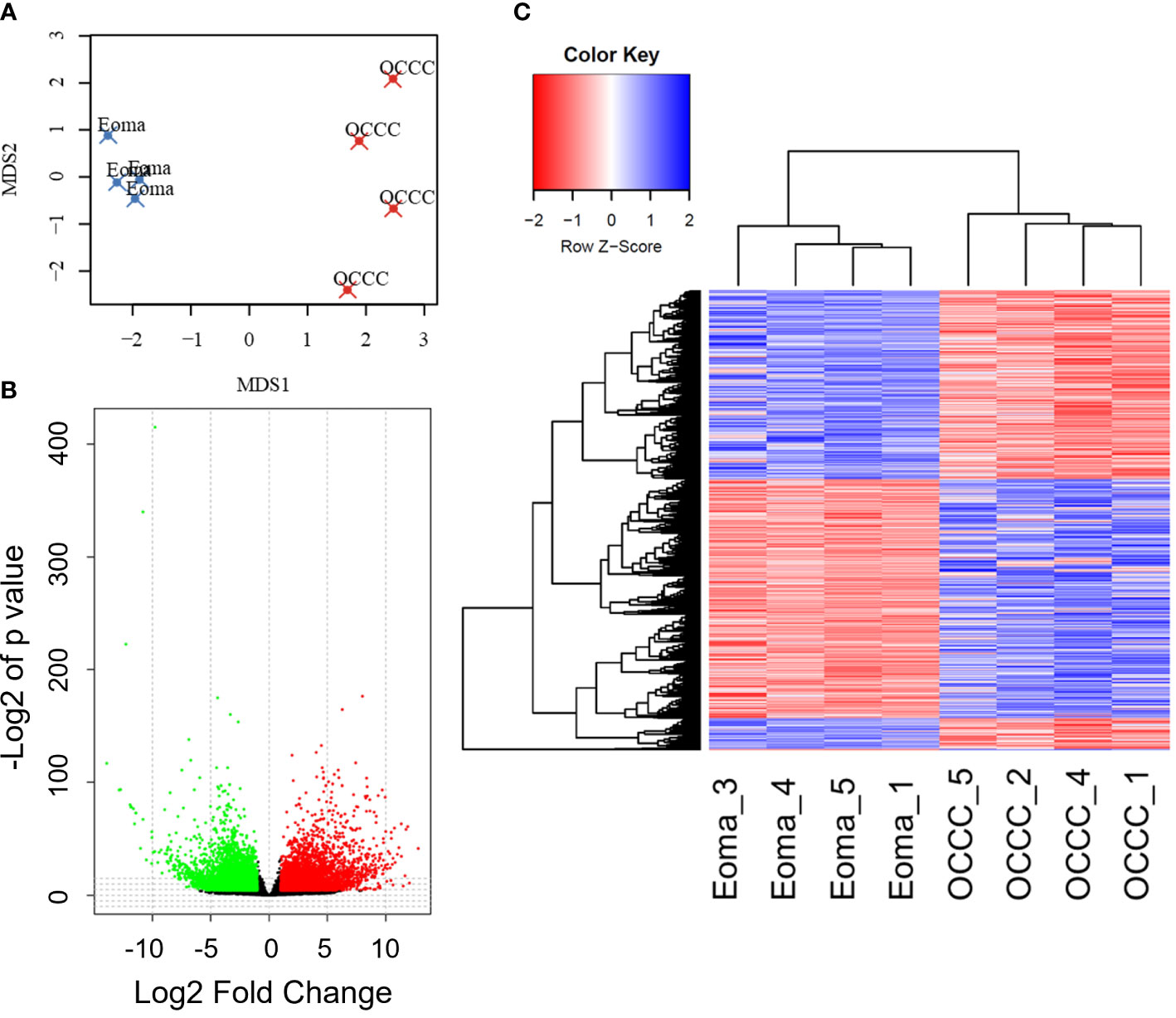 Frontiers | Transcriptomic analyses of ovarian clear-cell 