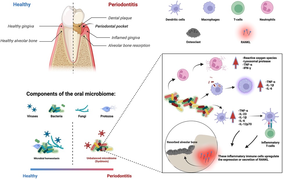 Frontiers | Innovative biomaterials for the treatment of 