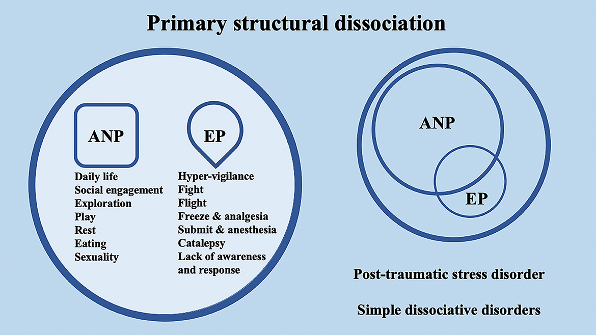 1. Conception, organisation et intervention en EPS