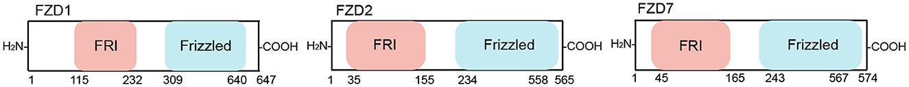 www.frontiersin.org