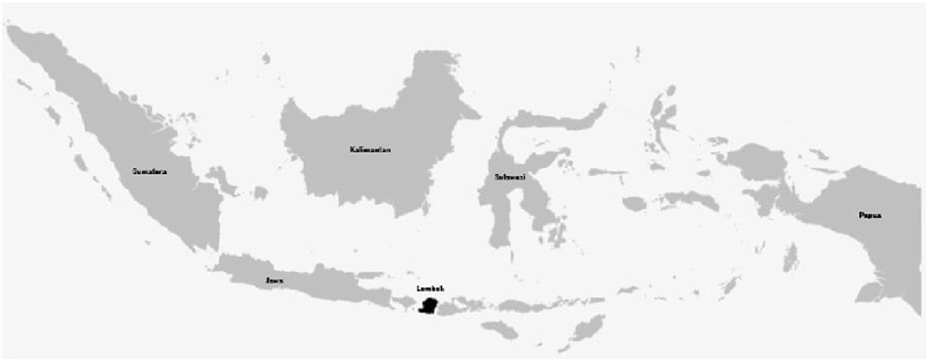 www.frontiersin.org