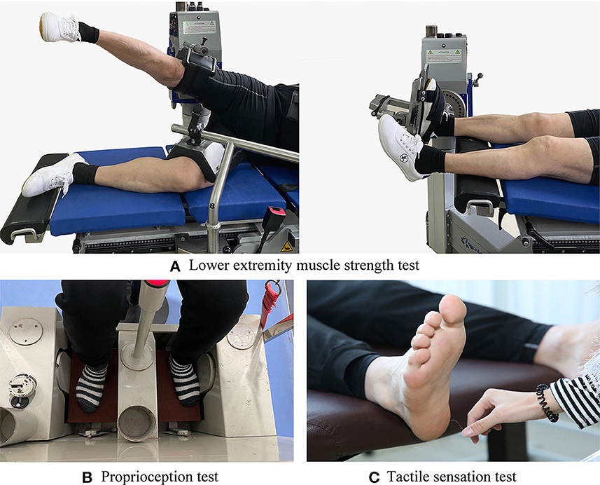 Proprioception exercises 2025 for lower extremity