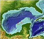 www.frontiersin.org
