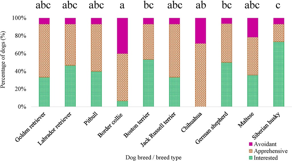 Social play scores in avoidant (n = 6) and secure (n = 32) dogs in