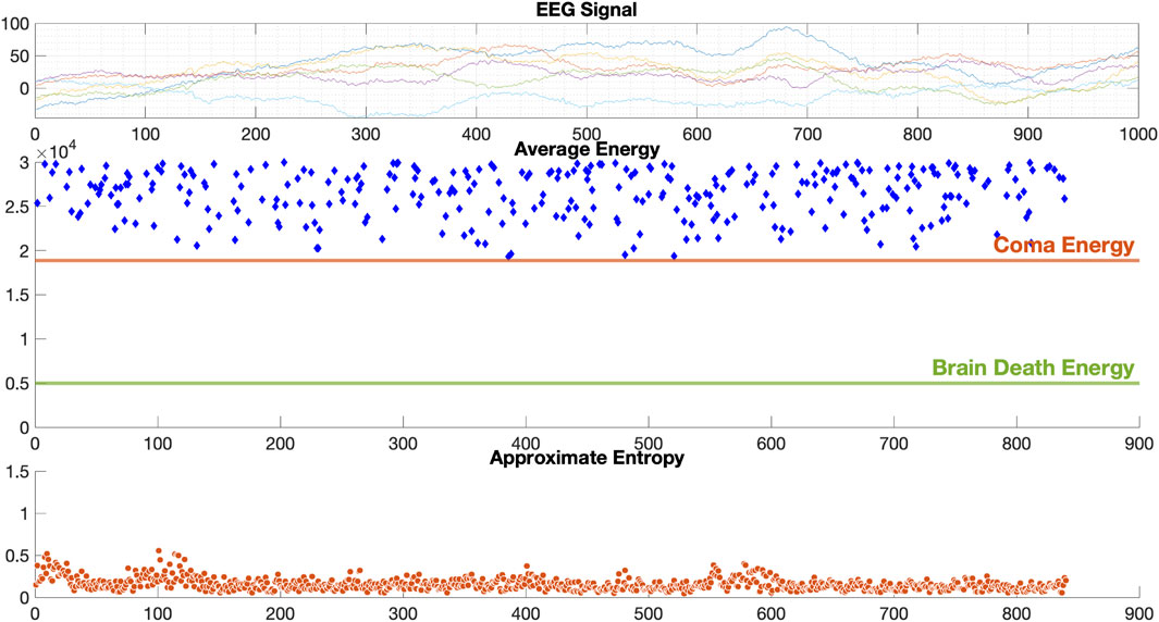 Frontiers | EEG-based real-time diagnostic system with developed ...