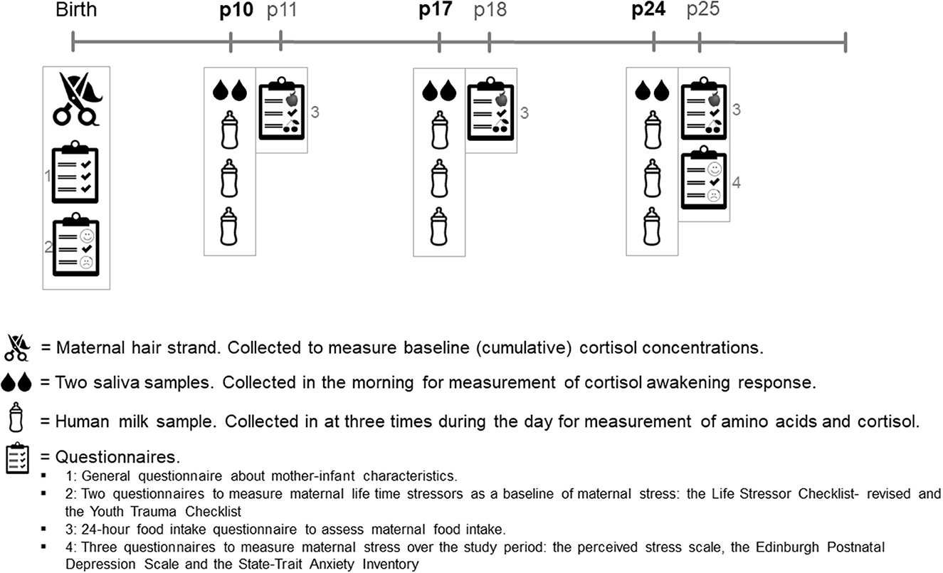 View of Validation of an instrument for the history of maternal