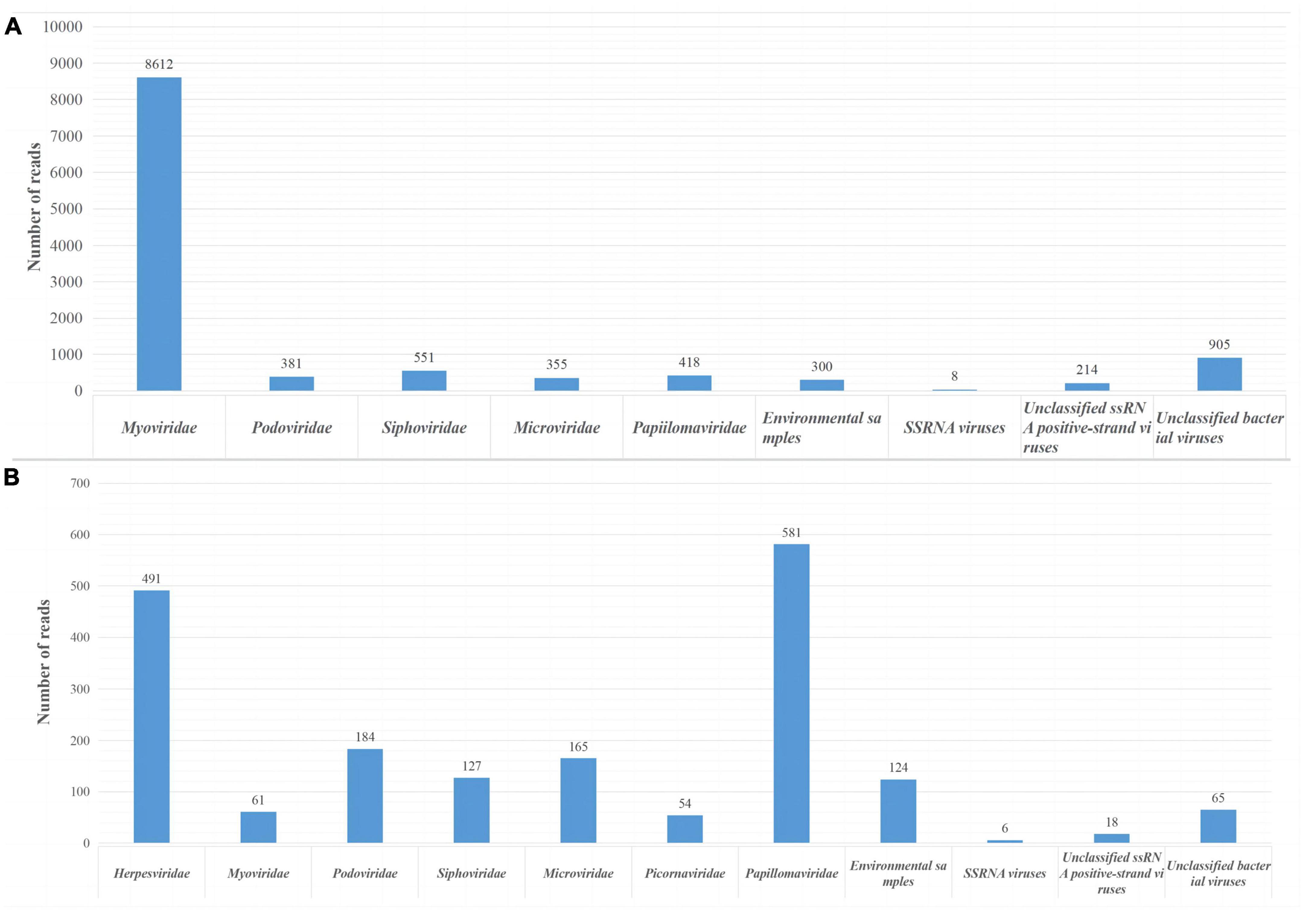 Identification of a Novel Coronavirus from a Beluga Whale by Using