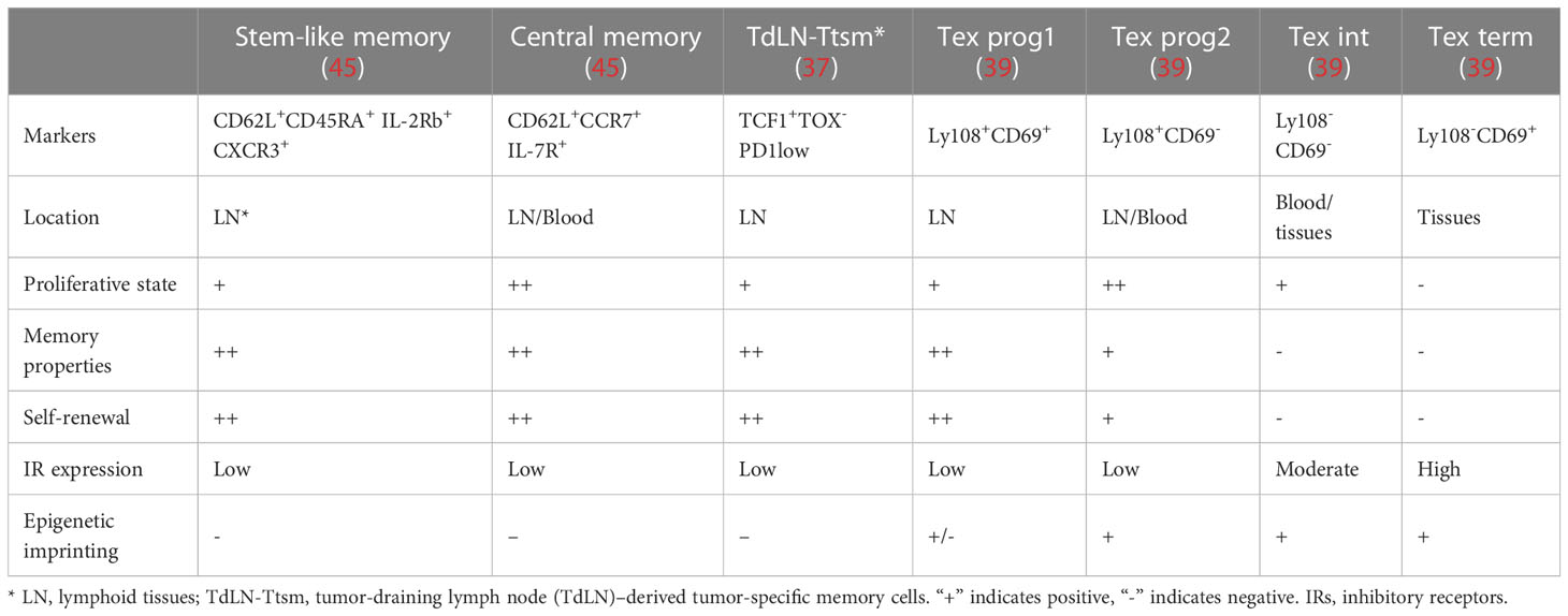 CD62L⁺ TPEX cells show enhanced potential for effector cell generation