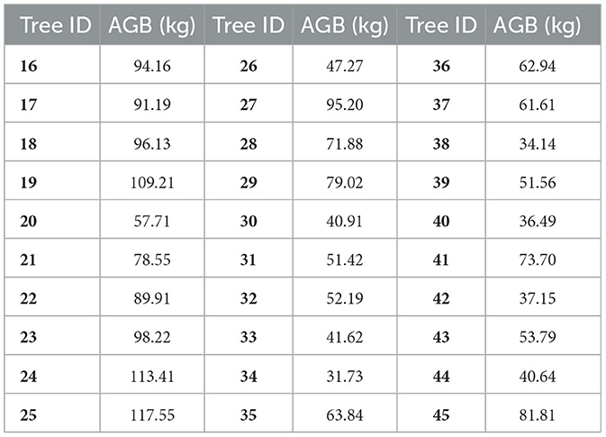 Frontiers | Precise aboveground biomass estimation of plantation forest ...