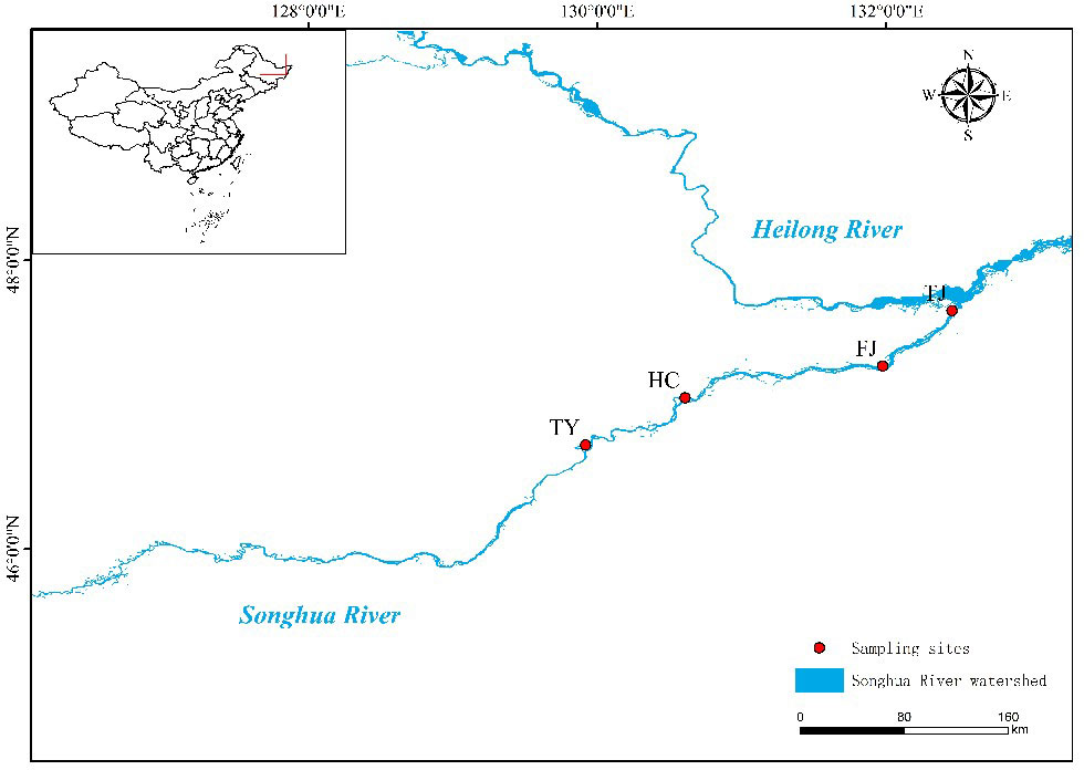 Identifying fisheries operations in tropical multispecies