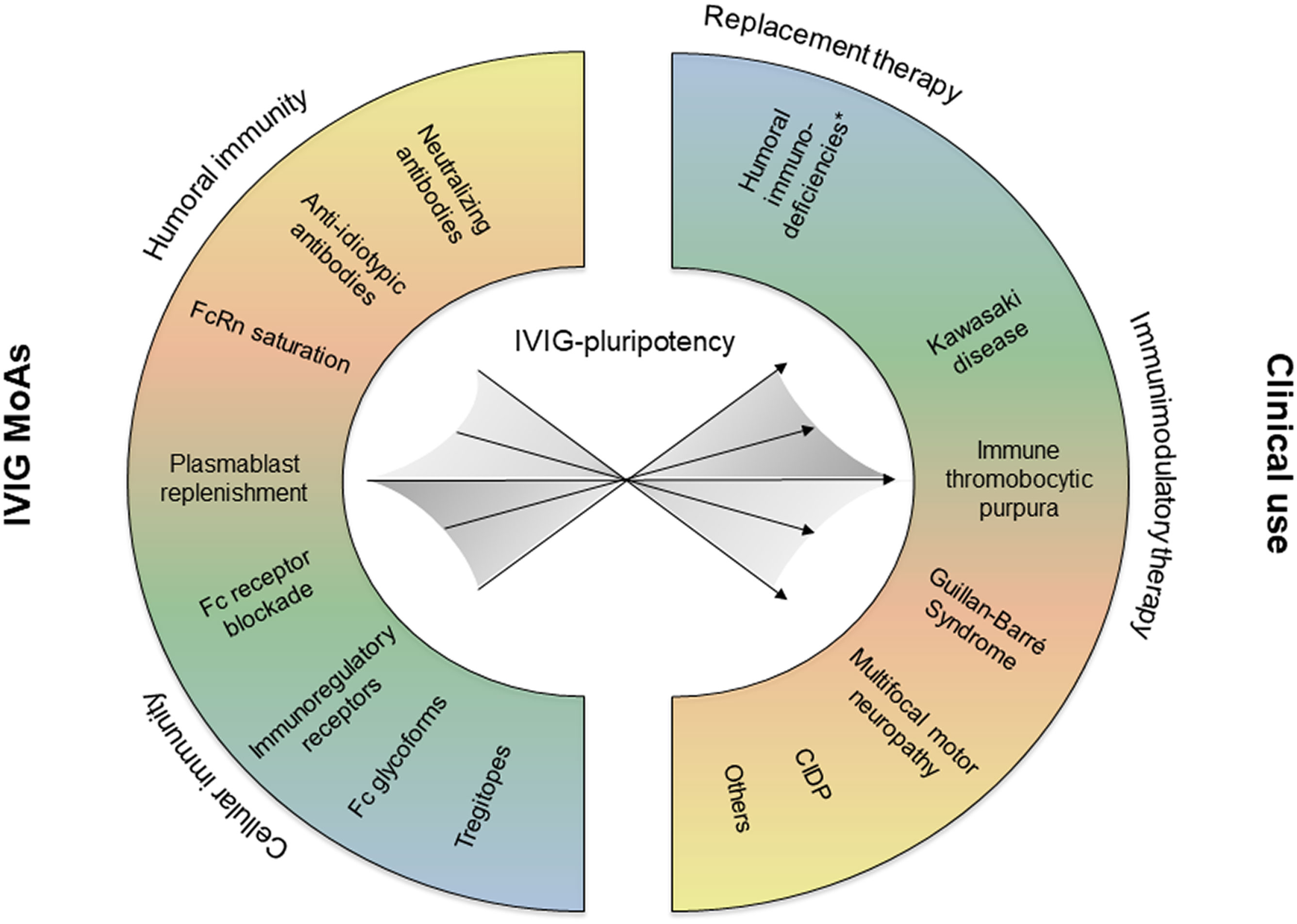 Competition between Serum IgG, IgM, and IgA Anti-Glycan Antibodies