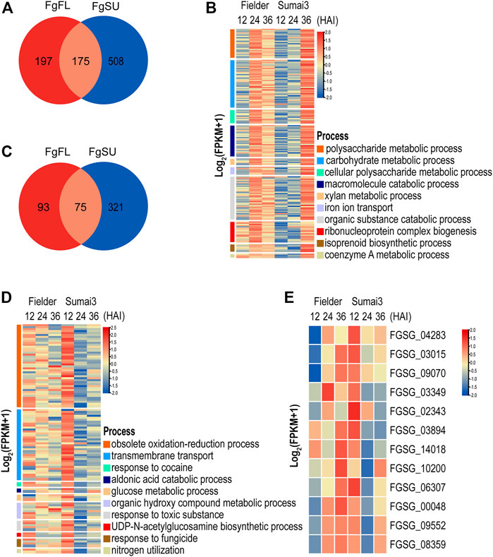 Overview of the prediction method for SMB gene clusters. (a