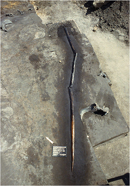 www.frontiersin.org