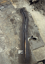 www.frontiersin.org