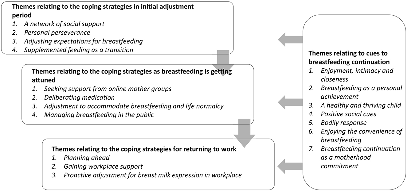 Priority Breastfeeding Strategy: Continuity of Care