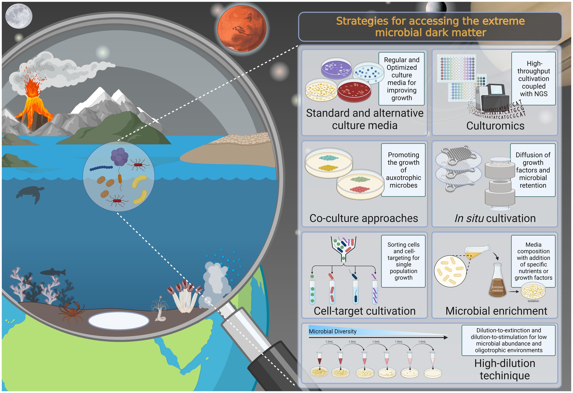 Frontiers  Shedding light on the composition of extreme microbial dark  matter: alternative approaches for culturing extremophiles