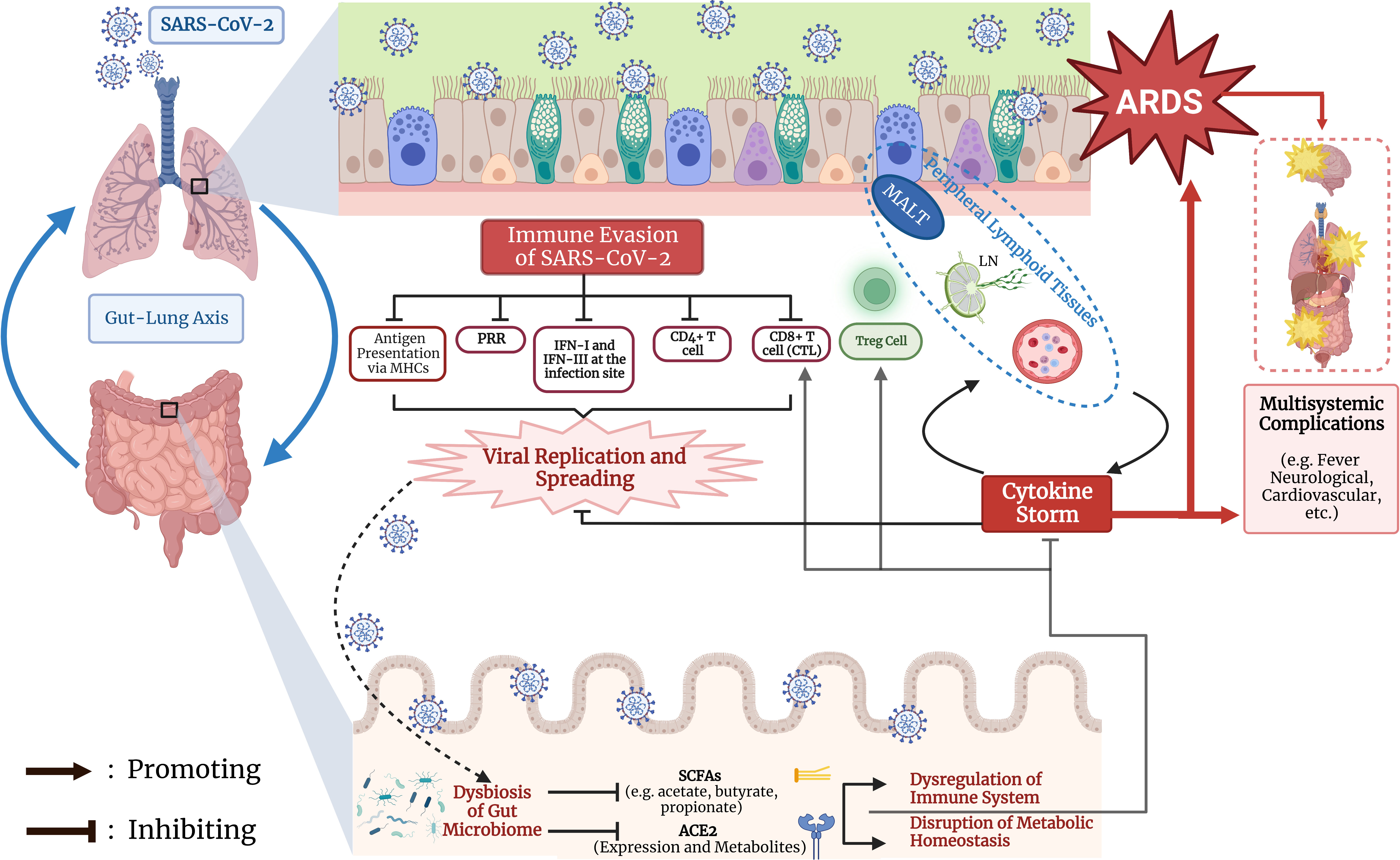 Frontiers  New Insights Into Microbiota Modulation-Based