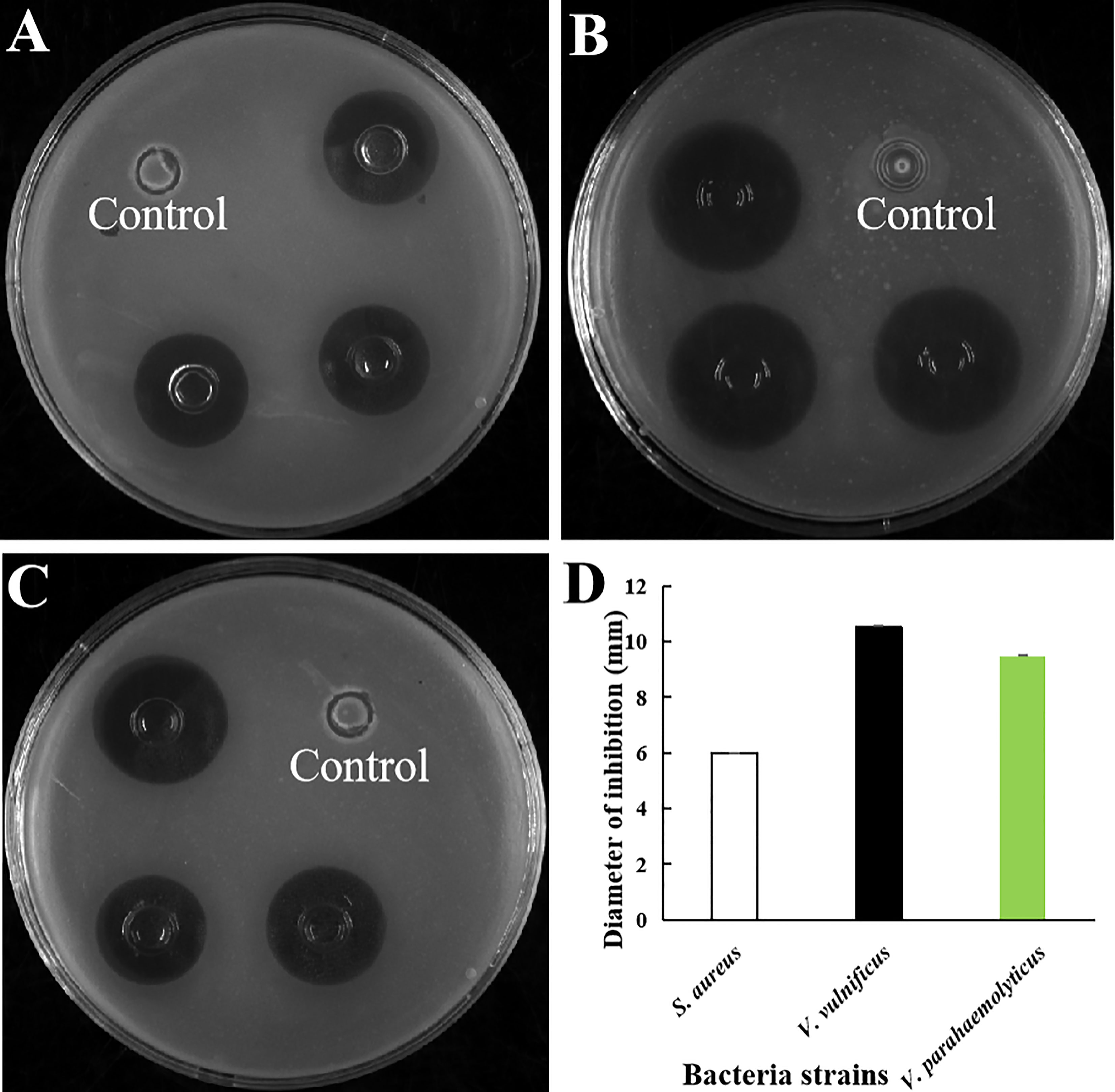 Frontiers | A novel antimicrobial peptide screened by a Bacillus subtilis expression system, derived from Larimichthys crocea Ferritin H, exerting bactericidal and parasiticidal activities Frontiers | A novel antimicrobial peptide screened by a Bacillus subtilis expression system, derived from Larimichthys crocea Ferritin H, exerting bactericidal and parasiticidal activities
