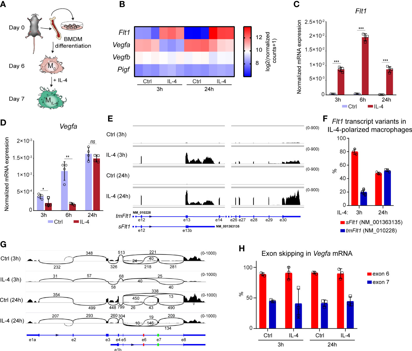 Recombinant Human IL-4 Protein 204-IL-010: R&D Systems