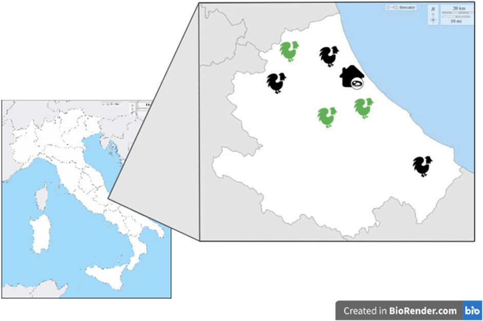 www.frontiersin.org